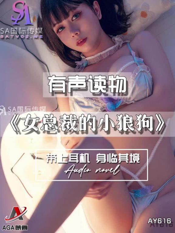 AY616-有声小说-女总裁的小狼狗 预览截图 5