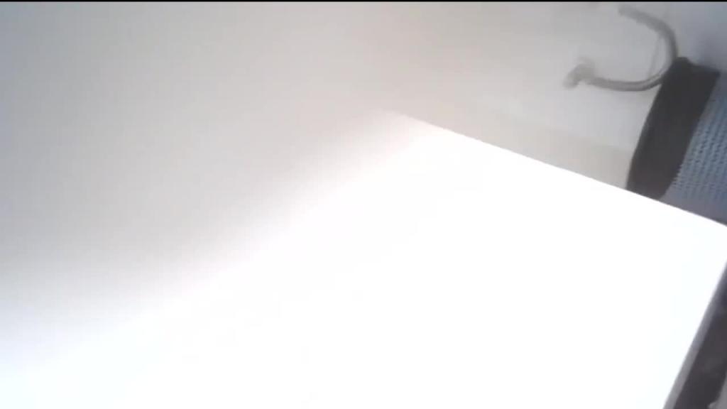 大神厕所偷拍 美女厕所验孕棒插逼 预览截图 4
