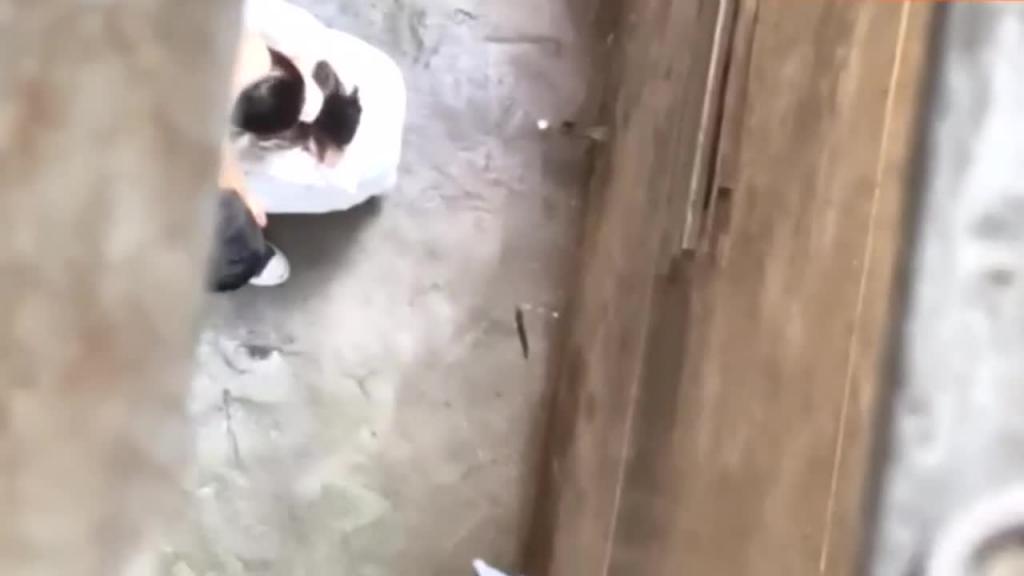 【稀有吃瓜事件】郑州师范操场口爆门 预览截图 5
