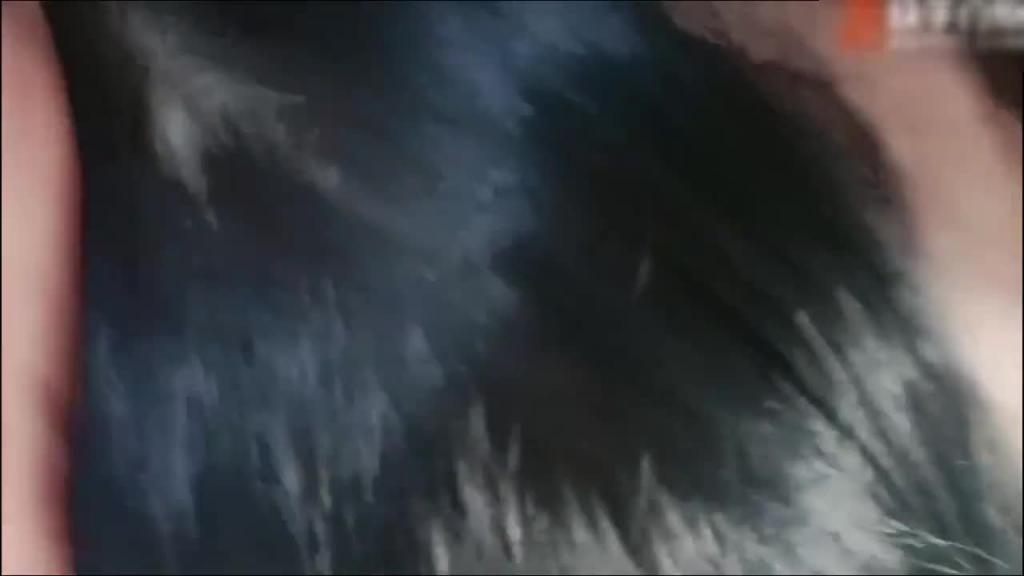极品无毛刚破处学生被男闺蜜给操了,我当你是好朋友你既然想操我。 预览截图 2