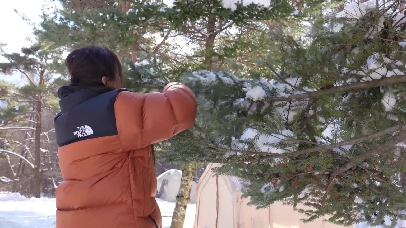 令人惊叹的玻璃圆顶充气帐篷单人车露营在雪林 预览截图 10