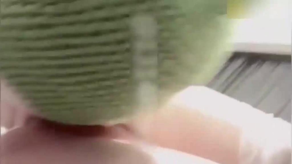 极品绿奴骚妻天生的贱货对白淫荡 预览截图 7