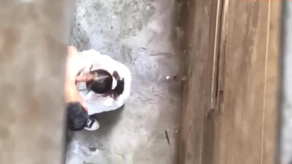 【稀有吃瓜事件】郑州师范操场口爆门 预览截图 7