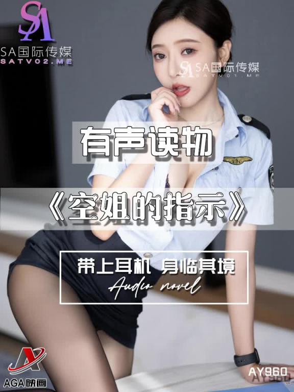 AY960-有声小说-空姐的指示 预览截图 12