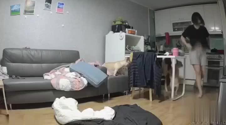 【乱伦小姨子】趁老婆不在家，猛操小姨子 预览截图 5