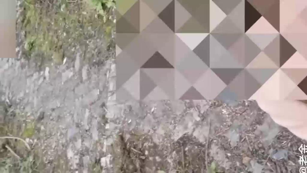 (福利)乱伦封神之作我操小姑3次给小姑下春药内射小姑怀孕打胎 预览截图 1