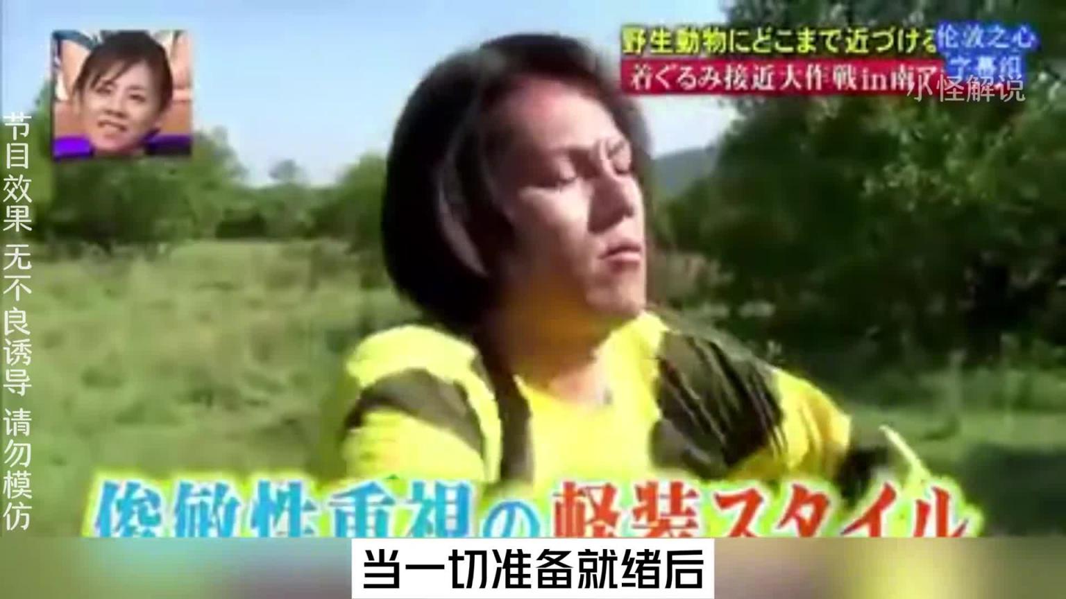 这节目组也太会玩了吧,安排艺人去摸老虎屁股。#综艺名场面 预览截图 8
