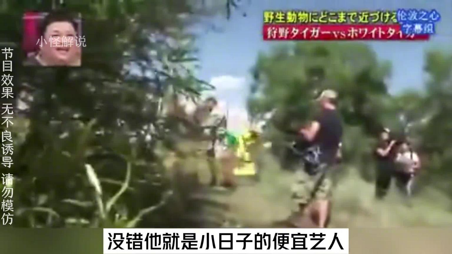 这节目组也太会玩了吧,安排艺人去摸老虎屁股。#综艺名场面 预览截图 1