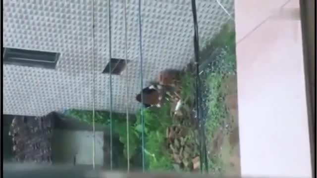 网曝社死现场事件都是别人花几十万娶回家的极品女神被我轻易玩弄了 预览截图 4