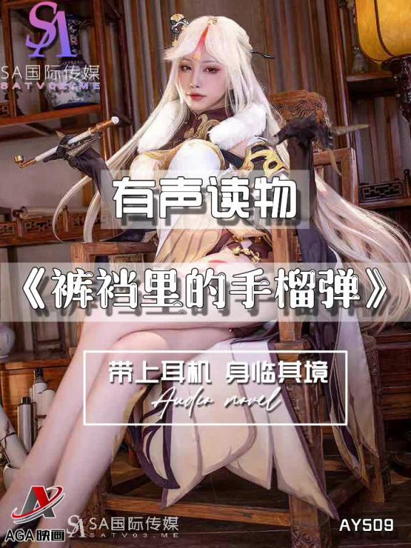 AY509-有声小说-裤裆里的手榴弹 预览截图 11