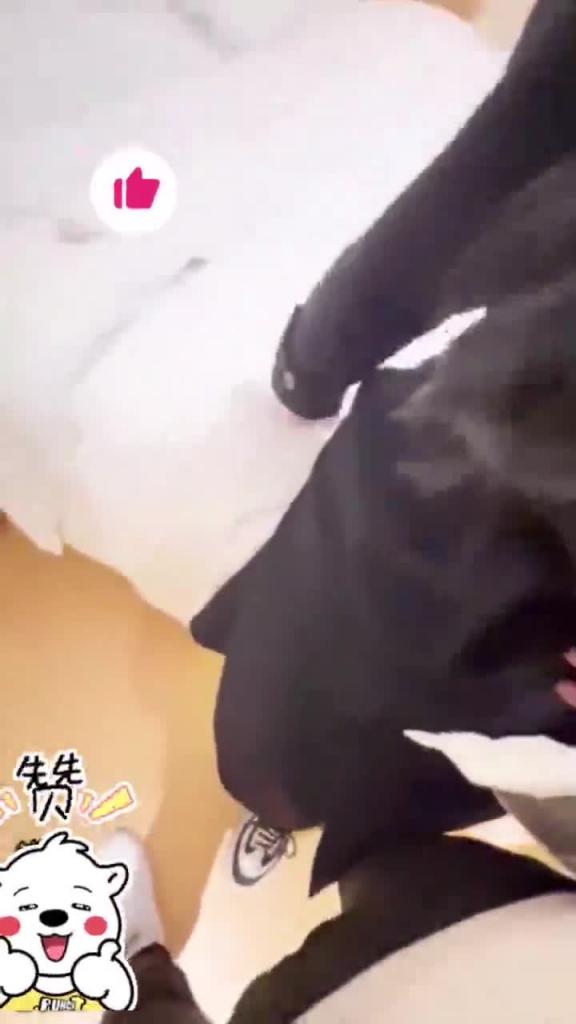 姐弟乱伦漂亮姐姐熟练的性爱技巧 预览截图 1