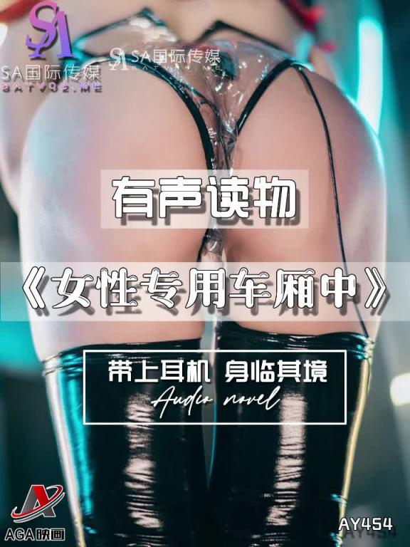 AY454-有声小说-女性专用车厢中 预览截图 12