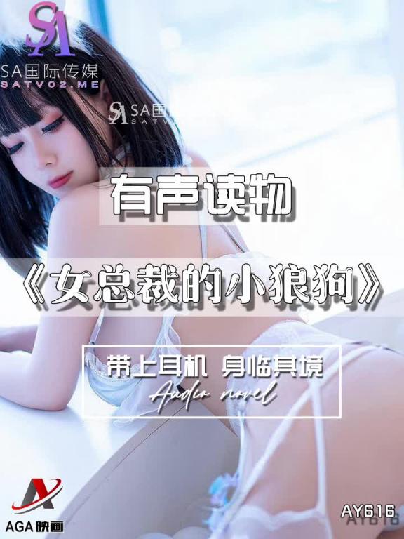 AY616-有声小说-女总裁的小狼狗 预览截图 7