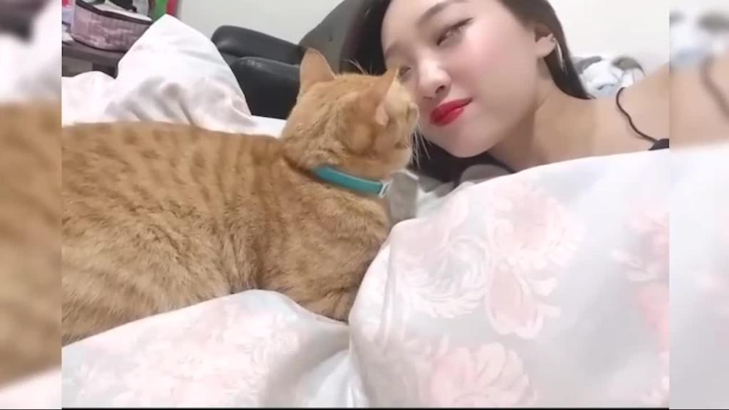 【吃瓜事件】抖音白虎萌妹安可可线下约会榜一大哥视频流出 预览截图 12