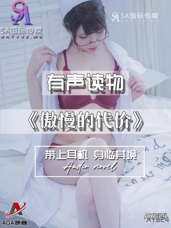 AY624-有声小说-傲慢的代价 预览截图 3