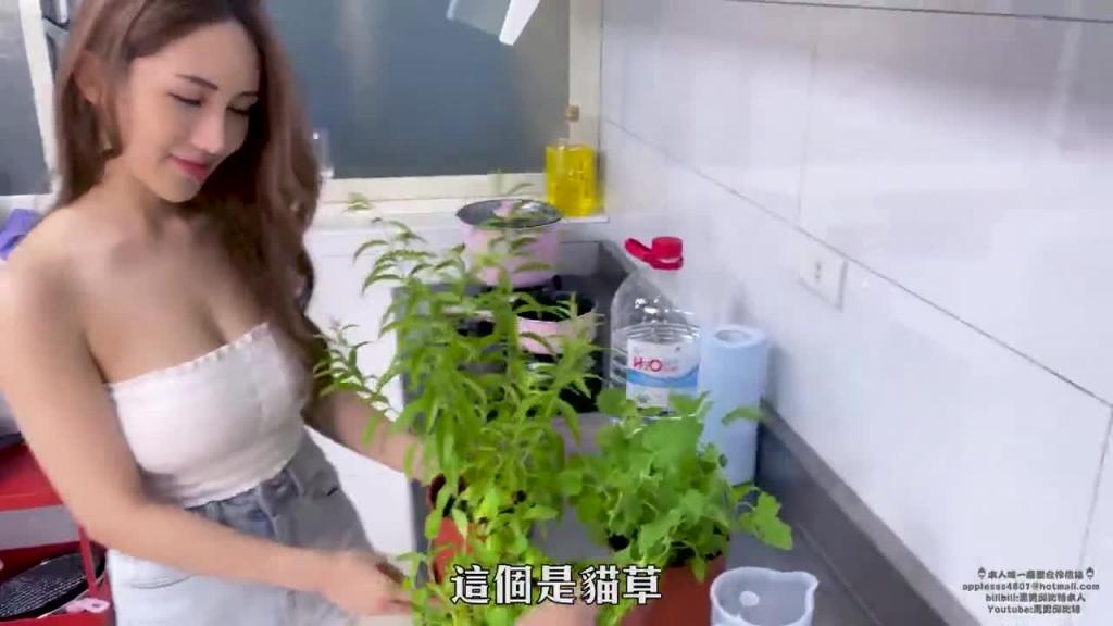 有机薄荷茶Mint 预览截图 3