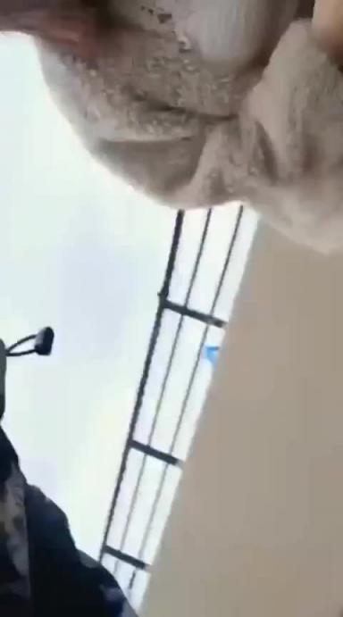 可爱小妹妹户外阳台做爱一道亮丽风景线 刺激 预览截图 4