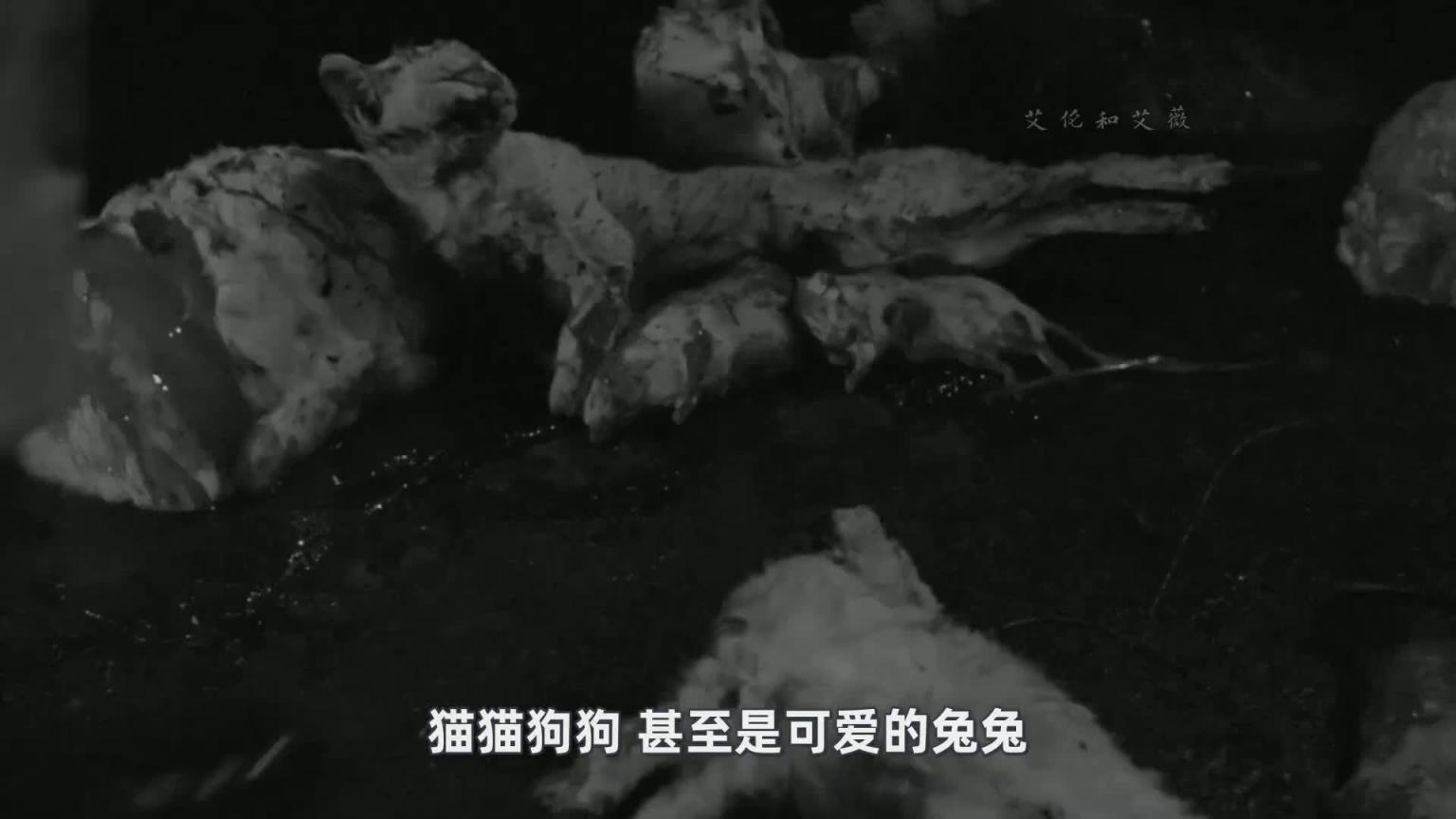 B级惊悚，捡尸变惊魂！她竟然是... 预览截图 3
