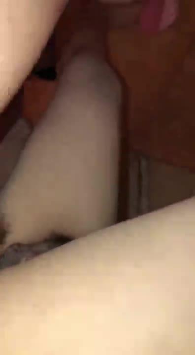 后入小屁股下次要无套操她 预览截图 9