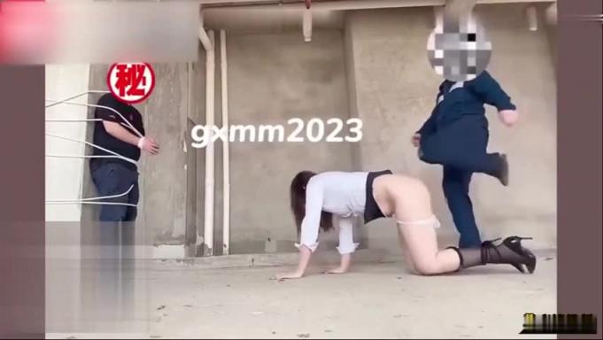 推特极品反差母狗,各种户外露出调教深喉 预览截图 4