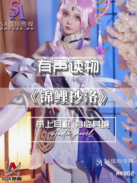 AY902-有声小说-锦鲤抄洛成片 预览截图 10
