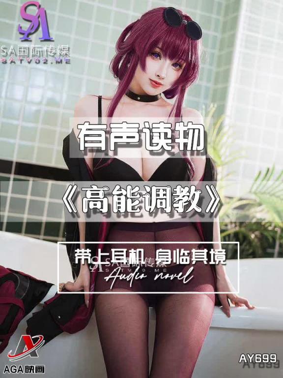 AY699-有声小说-高能调教 预览截图 2
