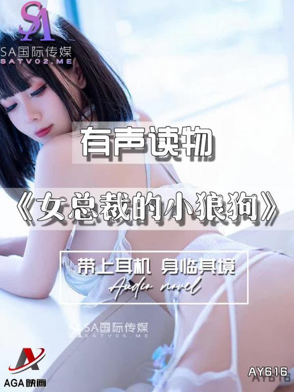 AY616-有声小说-女总裁的小狼狗 预览截图 6