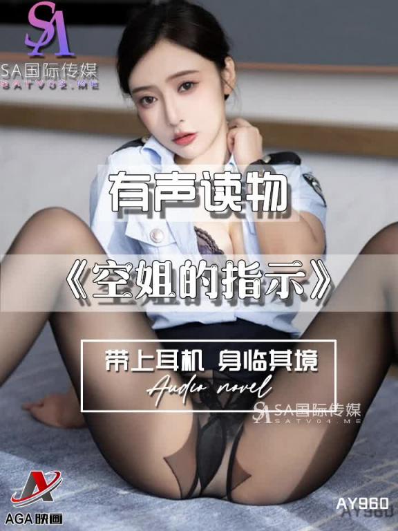AY960-有声小说-空姐的指示 预览截图 8
