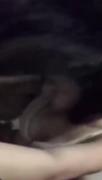 独家泄密我是婊子,想吃精液”语言调教对白一边被操一边要求被轮奸的贱货 预览截图 5