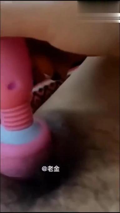 山西太原最新母子乱伦 预览截图 5