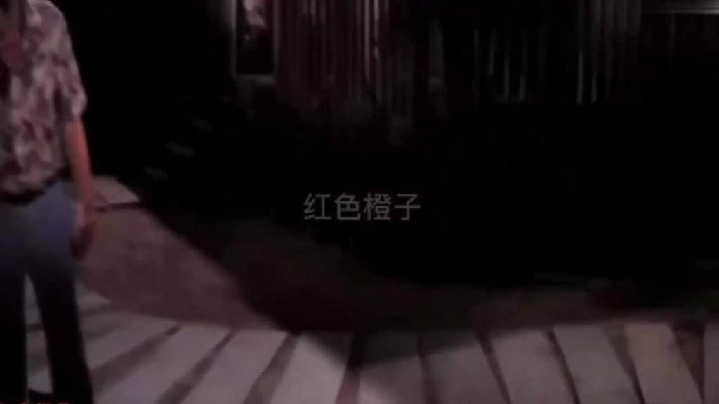 网曝明星黑料-各种女神明星 徐若瑄 关之琳 贺雷 范冰冰，盘点各种明星黑料不雅视频合集两小时完整版 预览截图 11