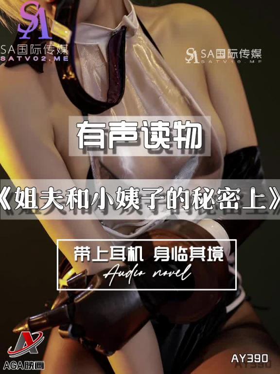 AY391-有声小说-姐夫和小姨子的秘密下 预览截图 9