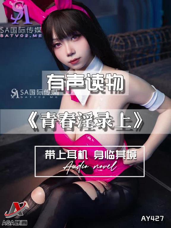 AY427-有声小说-青春淫录上 预览截图 4