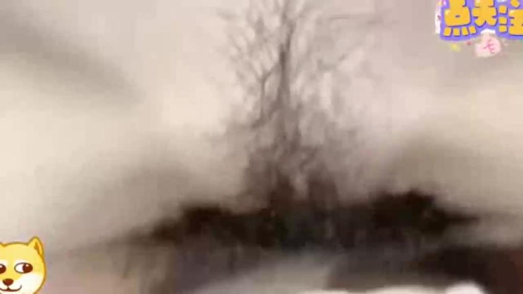 完整版流出学妹淫语对白超淫荡18岁小小年纪居然会潮吹超嫩穿着校服和主人开房 预览截图 11
