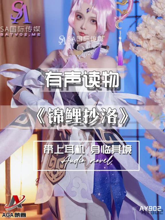 AY902-有声小说-锦鲤抄洛成片 预览截图 7