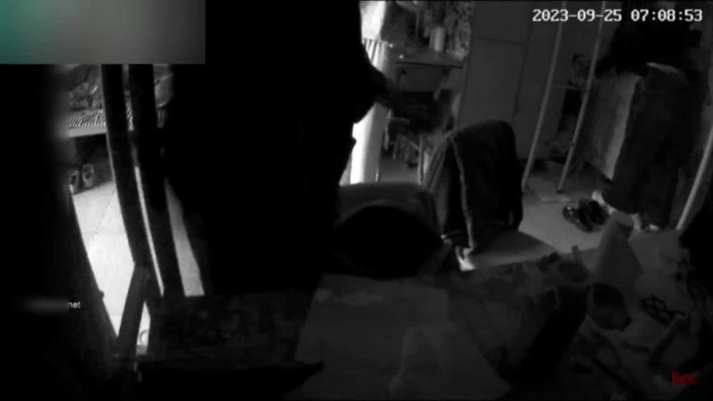 【极品稀缺-女生宿舍装针孔摄像头偷拍】竟然偷拍到同学每天带着跳蛋上课,取下来的时候全是淫水 预览截图 5
