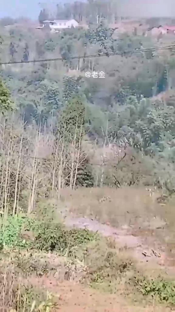 全网独家四川母子乱伦门【怀上儿子的孩子】,禽兽儿子胆大当着家里人面操母亲,母亲怀孕打胎 预览截图 1