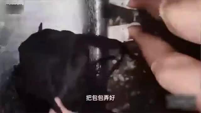 户外勾引学弟，好色姐姐，当街性爱 预览截图 4