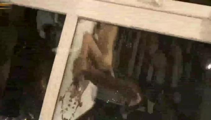 郑州大二女友与男友性爱视频爆料 预览截图 4