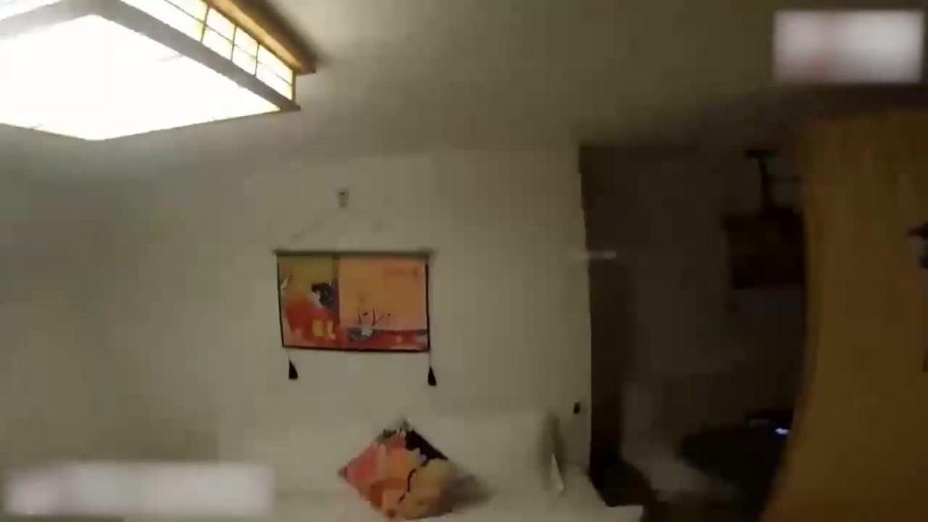 穿上白金旗袍边走边操到内射 预览截图 3