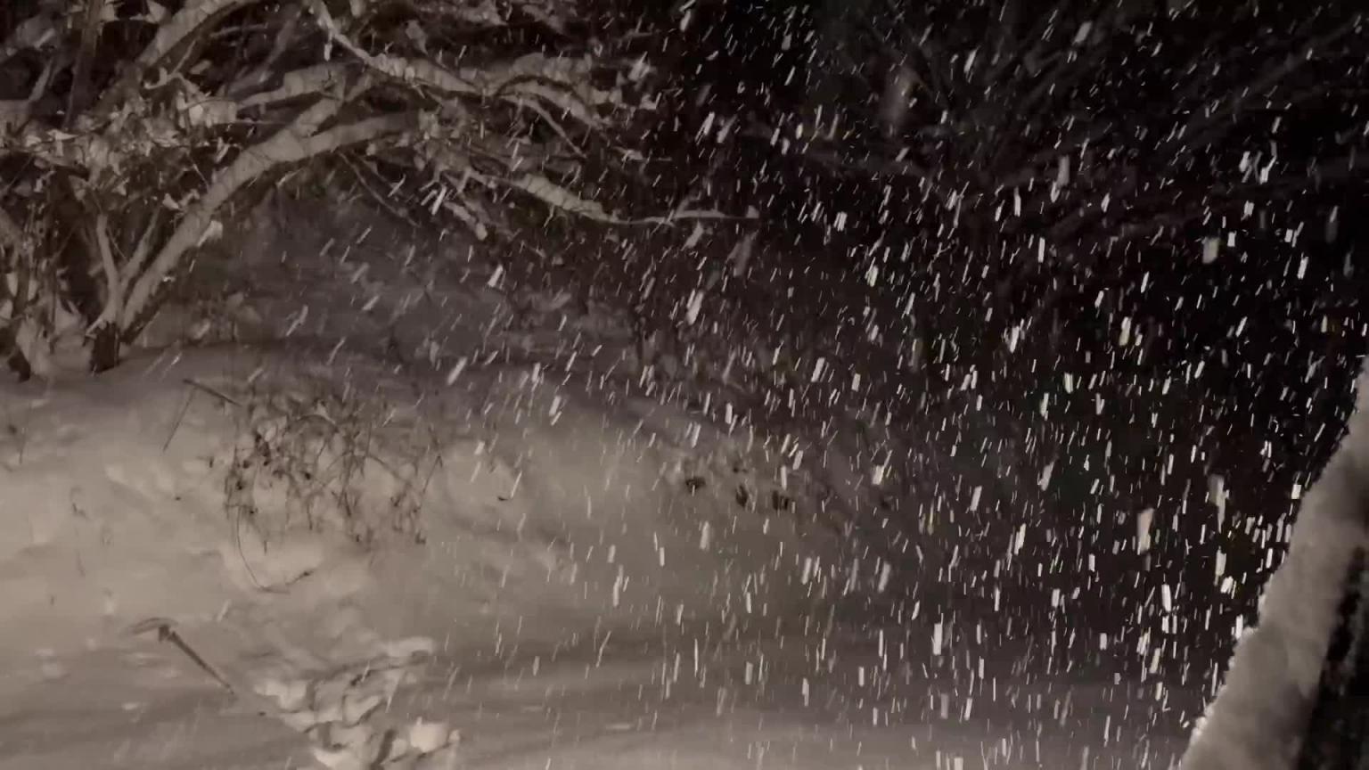 汽车露营时被困在大雪中 / 一个疯狂的夜晚 / ASMR 预览截图 5