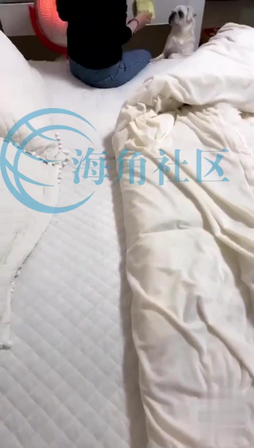 【兄妹乱伦】骚逼妹妹在出租屋日记_逗逗狗欲望一来 预览截图 1