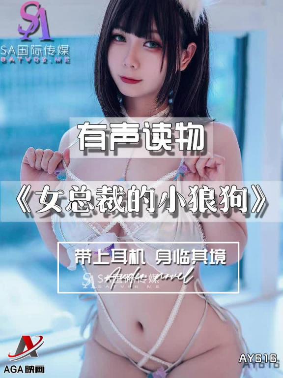 AY616-有声小说-女总裁的小狼狗 预览截图 1