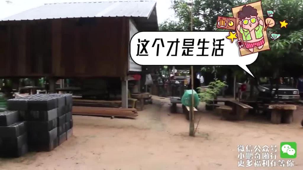 小鹏奇啪行第二季番外篇5 拜访鹏哥神秘好友，深度剖析ladyboy的悲欢人生！ 预览截图 5