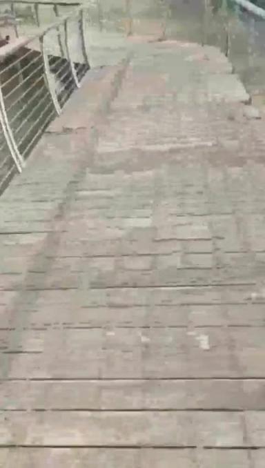 【嫂子野战乱伦】大哥出门买东西,我偷约嫂子公园露出口射,后入干喷水 预览截图 4
