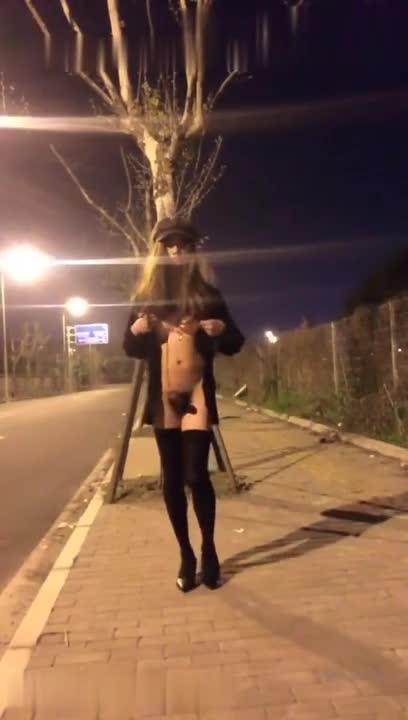 午夜街头黑丝伪娘大胆露出打飞机差点被发现 预览截图 9