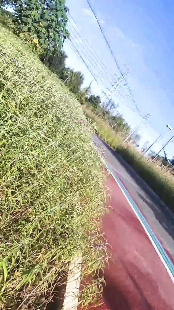 【极品萝莉-户外性体验】调教玩操制服萝莉小母狗，电影院做爱，摩天轮口爆，网吧JK跪舔，车震口爆，高清 预览截图 4
