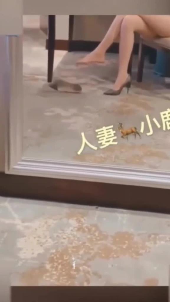 小鹿绿帽约炮极品美腿淫妻无套3p潮吹 预览截图 10