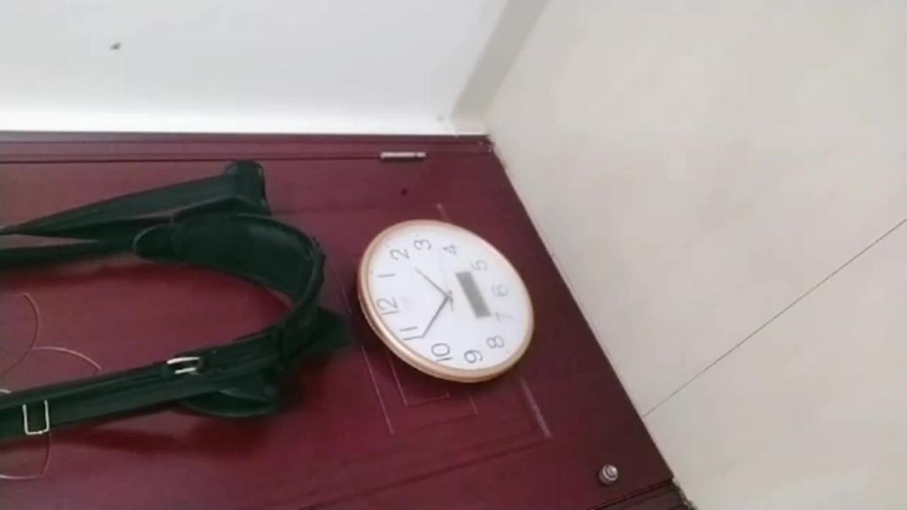 SM肥臀少妇挂在门上骚逼喷水 预览截图 10