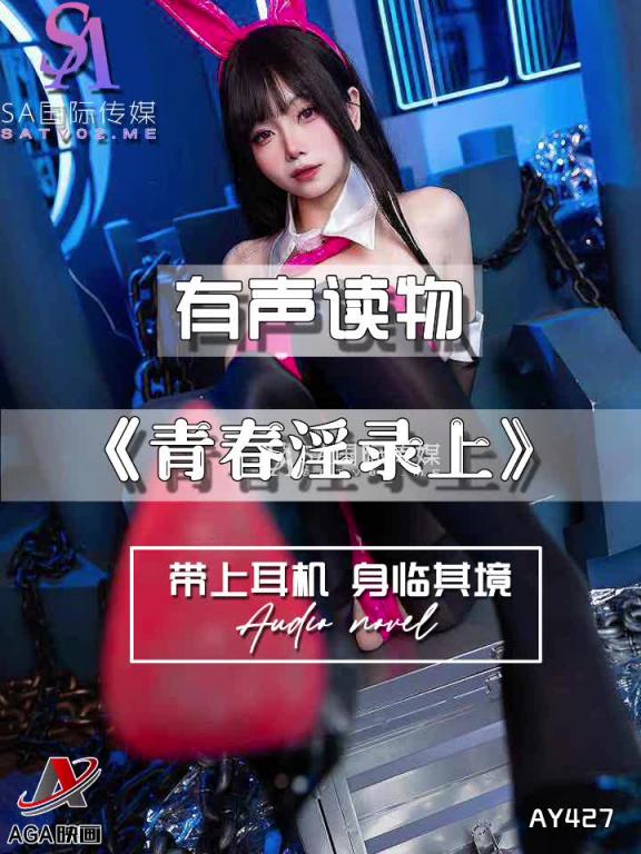 AY427-有声小说-青春淫录上 预览截图 9